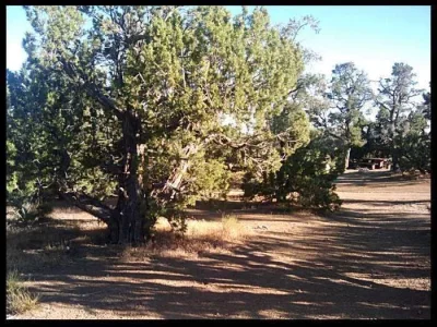 9-mid-hills-CG.webp