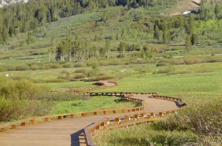 The path taken.webp