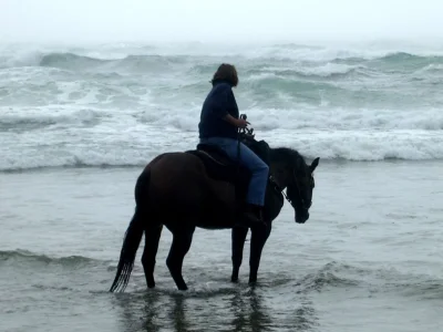 amp Nehalem Bay 806 011.webp