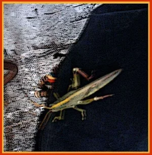 1-grasshopper-art.webp