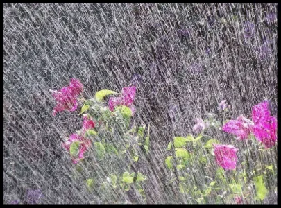 2-garden-sprinkler.webp