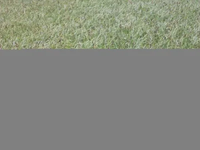 DSCN0051.webp