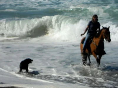 DSCN0451.webp