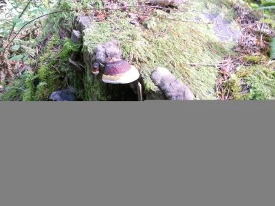 005.webp