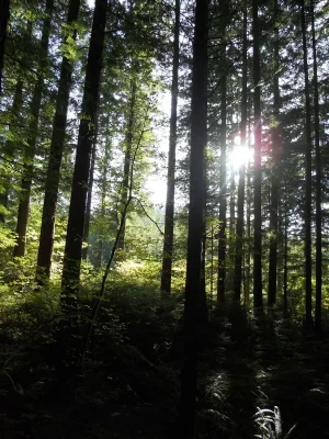 023.webp