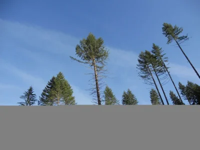 044.webp