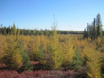 Fall 2010 011.webp
