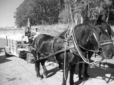 Illahe Vinyards me driving B&W.webp