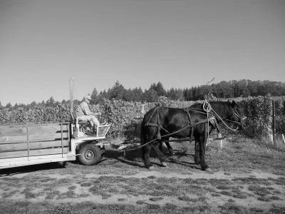 Illahe Vinyards Mark driving B&W.webp