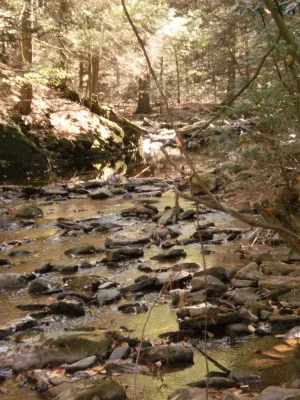 creek1.webp