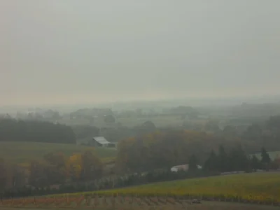 facing south Barn.webp