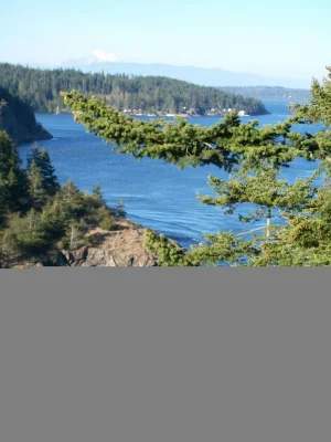 021.webp