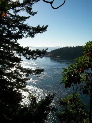 009.webp