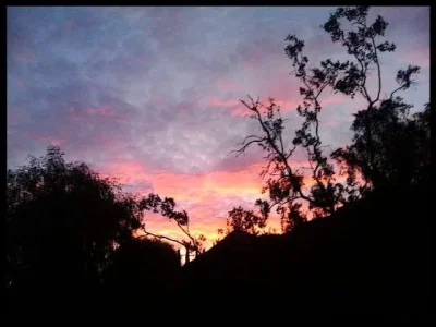 9-front-yard-sunset.webp