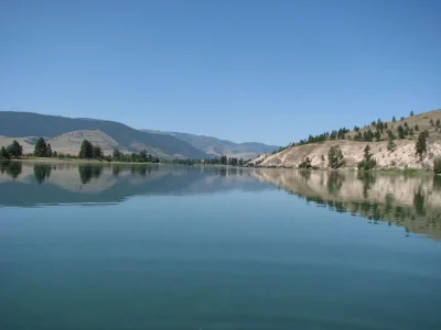 165.webp