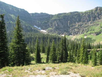 226.webp