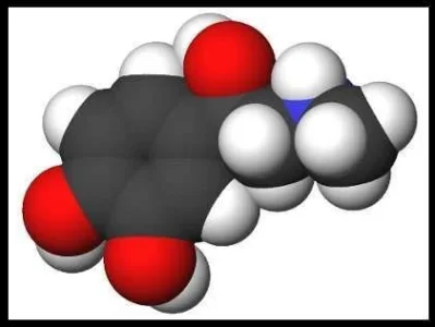 Epinephrine.webp