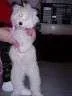 405.webp