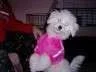 406.webp