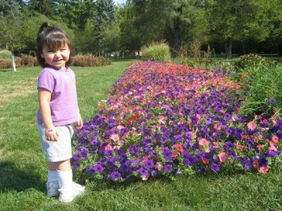 608.webp