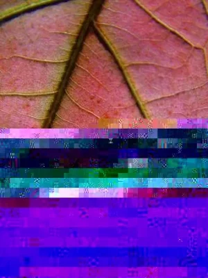 757.webp