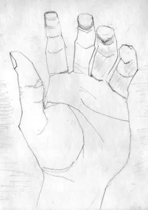 794.webp