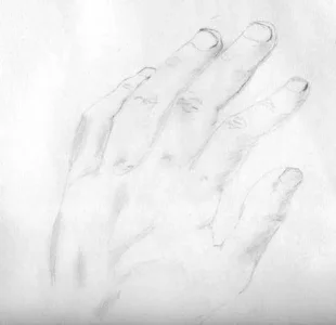 795.webp