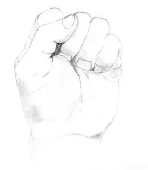 797.webp
