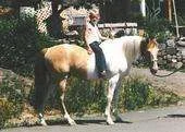 966.webp