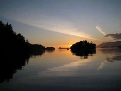 865.webp