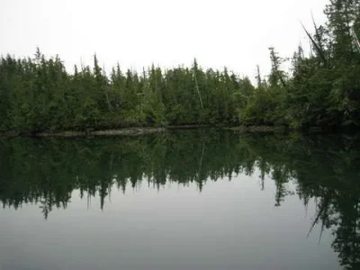 867.webp