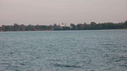 880.webp