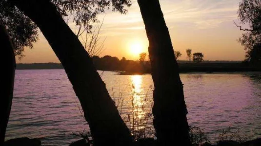 883.webp