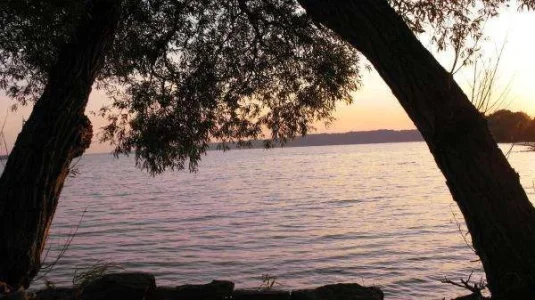 884.webp