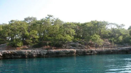898.webp