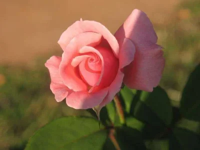 921.webp