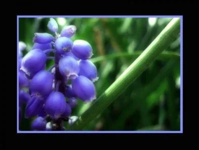 1653.webp