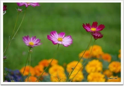 1656.webp