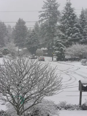 Snow2012 008.webp