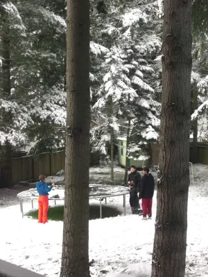 Snow2012-2 025.webp