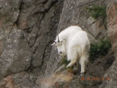 DSCN0587.webp