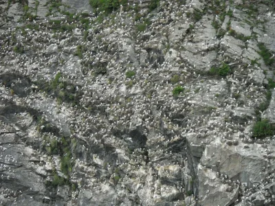 DSCN0574.webp