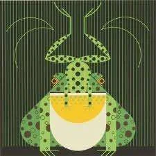 Froggie Deco.webp