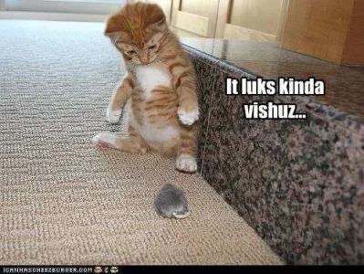 funny-pictures-it-luks-kinda-vishuz.webp
