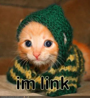 funny-pictures-kitten-is-link9.webp