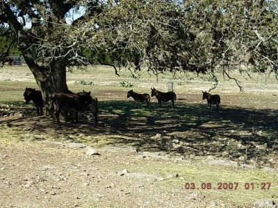 DSCN0270.webp