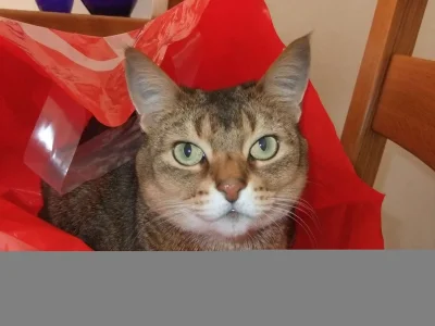 DSCF0579.webp