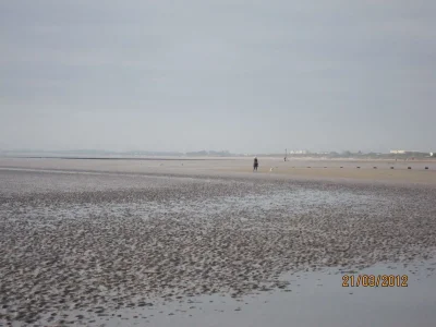 IMG_0011.webp