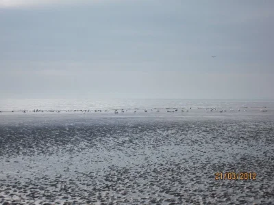 IMG_0012.webp