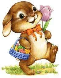 bunny1.webp